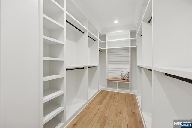 spacious closet with light wood-type flooring