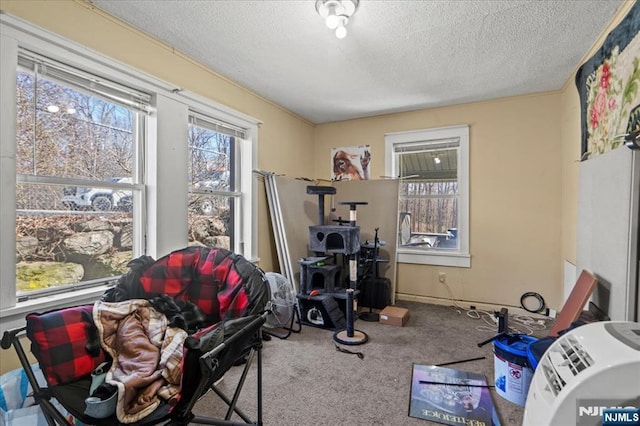 7 White Rd, West Milford, NJ 07421 - recreation room featuring carpet flooring and a textured ceiling