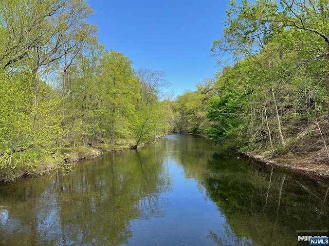 98 Roosevelt Blvd, Oakland, NJ 07436 - view of water feature featuring a wooded view