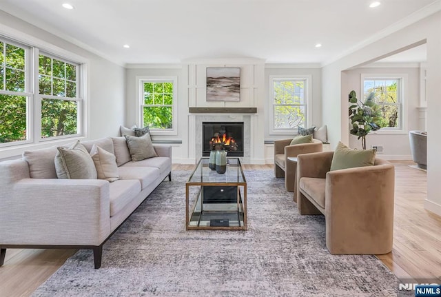 living room with ornamental molding, wood finished floors, and a wealth of natural light