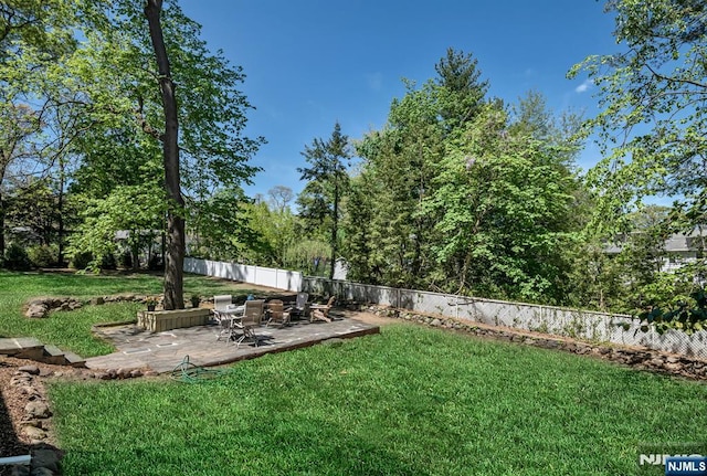view of yard with a fenced backyard and a patio area