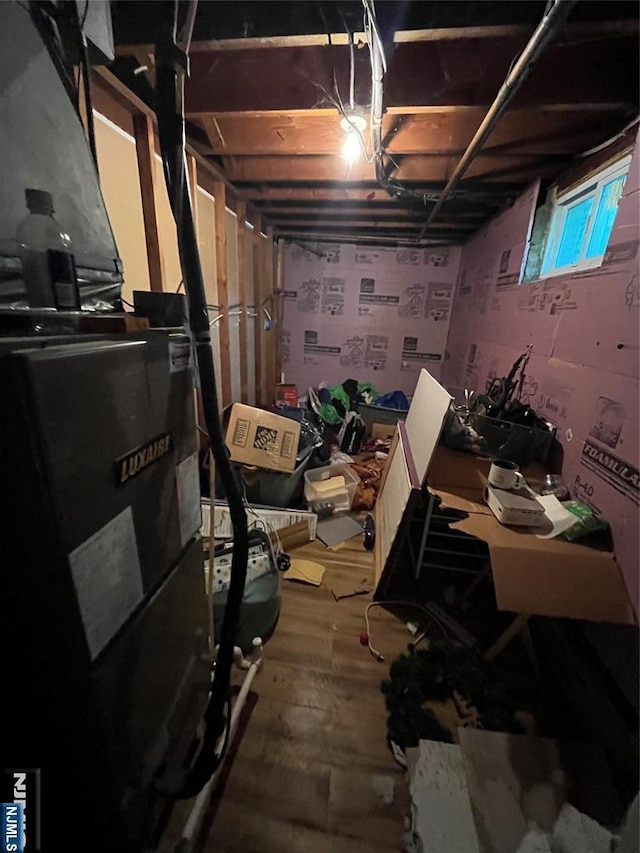 below grade area featuring wood-type flooring