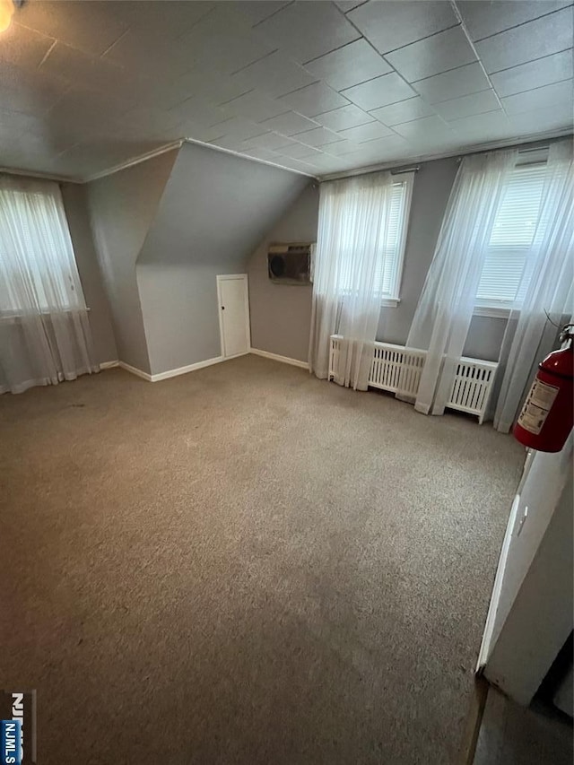 bonus room featuring radiator heating unit, baseboards, and carpet flooring
