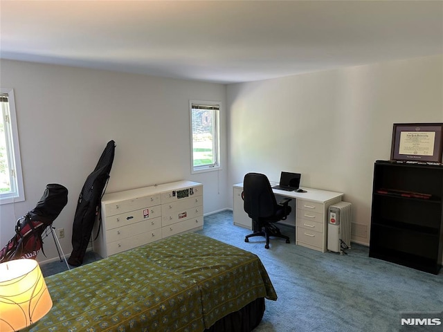 carpeted bedroom with multiple windows