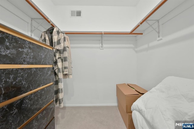 spacious closet with carpet flooring and visible vents