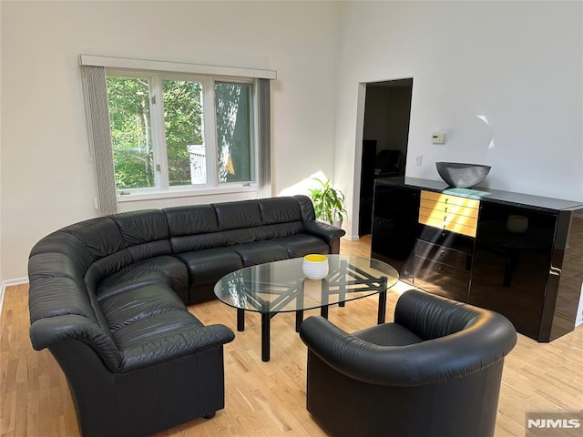 living area featuring light wood finished floors