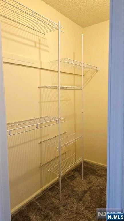walk in closet with carpet flooring