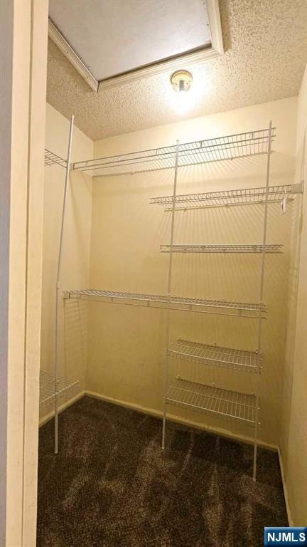 spacious closet with carpet flooring