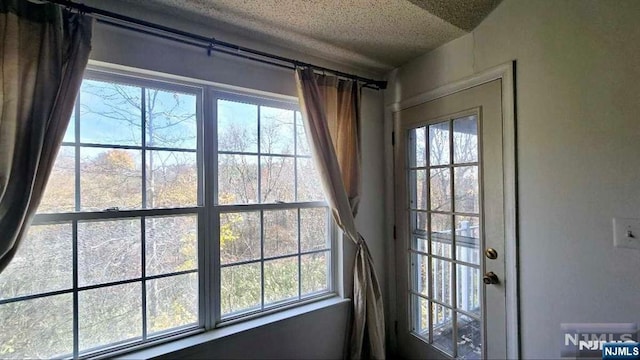 doorway featuring plenty of natural light and a textured ceiling