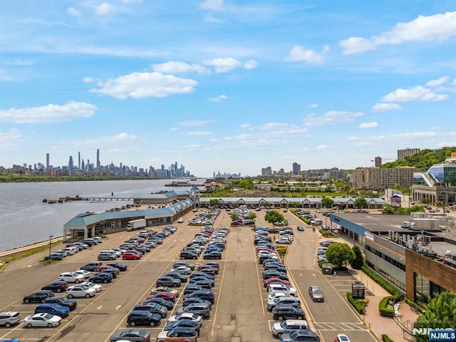 746 Undercliff Unit A, Edgewater, NJ 07020 - aerial view of city skyline and a large body of water