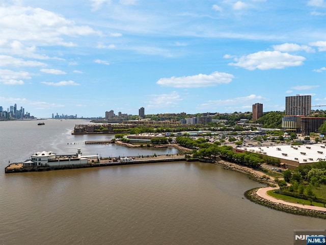 746 Undercliff Unit A, Edgewater, NJ 07020 - aerial view of city skyline and a nearby body of water