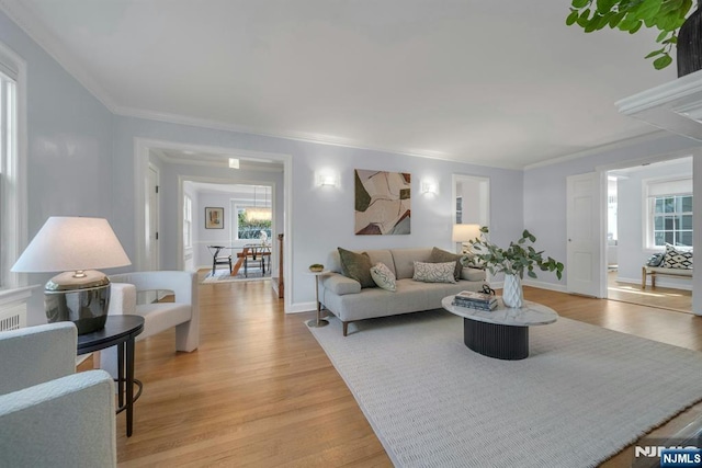 living area featuring ornamental molding, baseboards, and light wood-style flooring