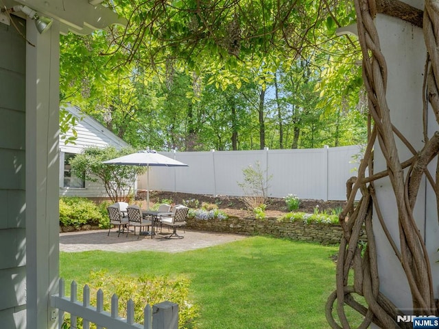 view of yard featuring a patio and a fenced backyard