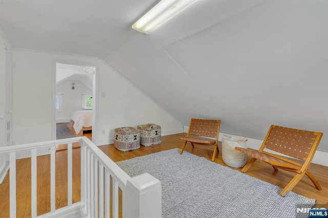 interior space featuring lofted ceiling and wood finished floors