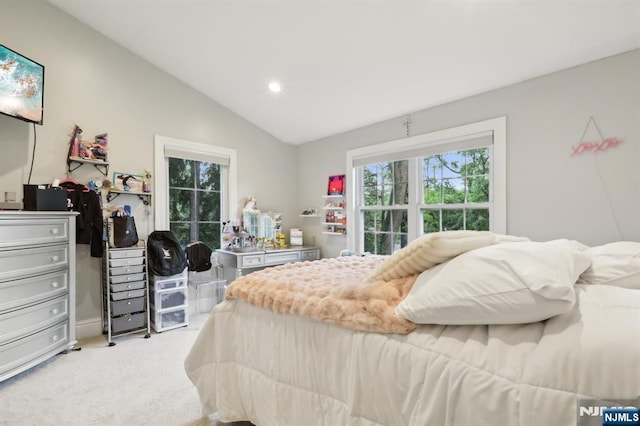 785 Ridgewood Rd, Twp Of Washington, NJ 07676 - bedroom with carpet flooring, vaulted ceiling, and recessed lighting