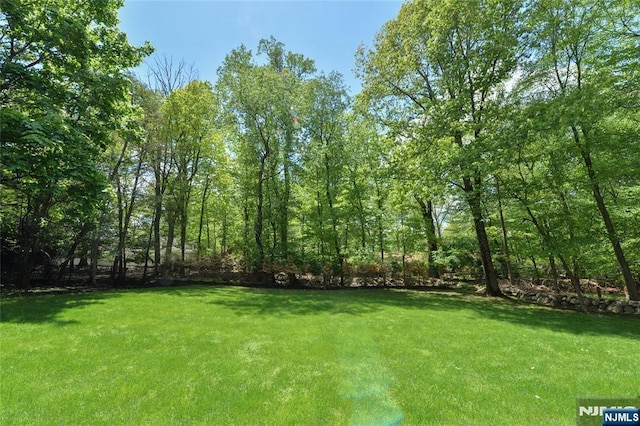 view of grassy yard