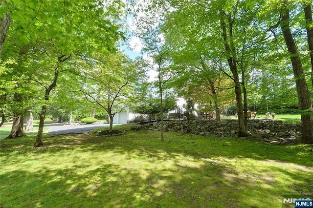 view of green lawn featuring a garage and asphalt driveway