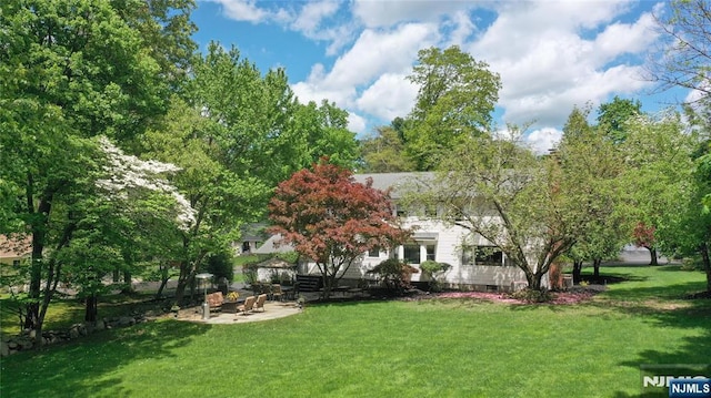 view of green lawn with a patio area