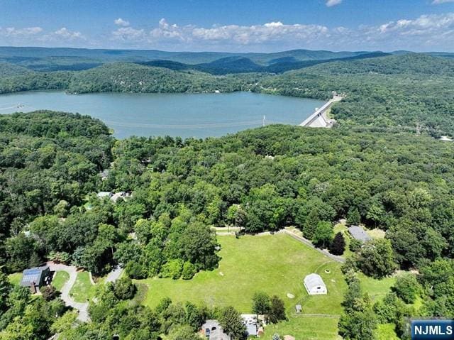 bird's eye view with a water view and a forest view