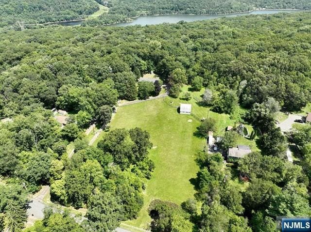 birds eye view of property with a water view and a forest view