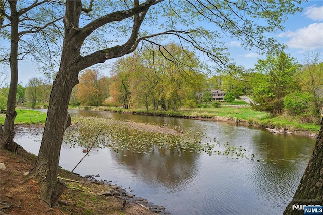 view of water feature with a forest view