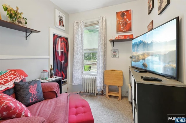 living area featuring radiator