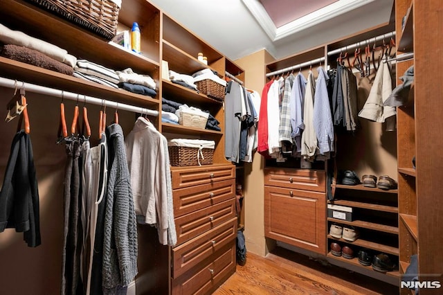 walk in closet featuring light wood-style floors