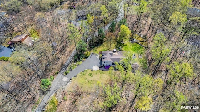 drone / aerial view