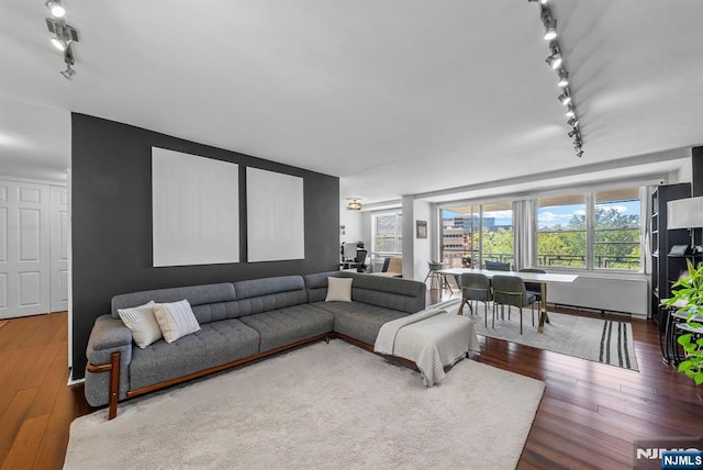 living room with rail lighting and wood-type flooring