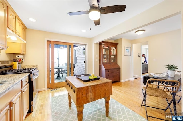 interior space with light wood finished floors, baseboards, ceiling fan, and recessed lighting