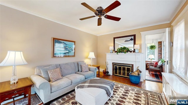 living room featuring a ceiling fan, a fireplace with flush hearth, crown molding, and wood finished floors