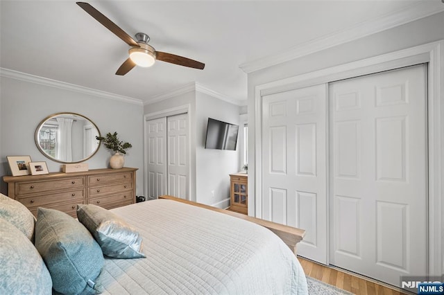 bedroom featuring two closets, light wood-style flooring, crown molding, and a ceiling fan