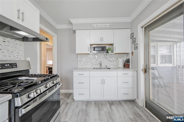 kitchen with appliances with stainless steel finishes, a sink, light wood finished floors, under cabinet range hood, and crown molding