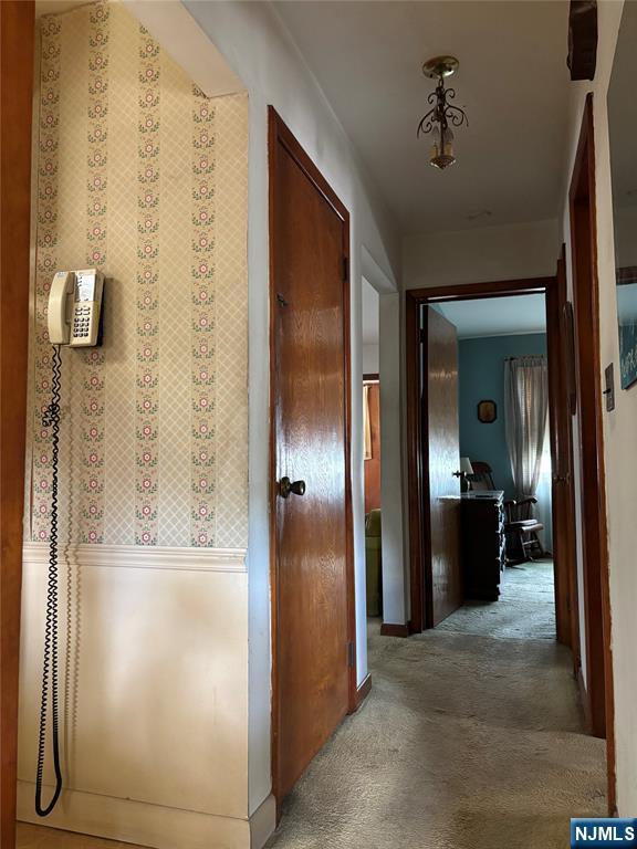 hallway featuring carpet floors
