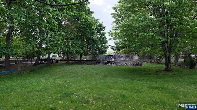 view of yard