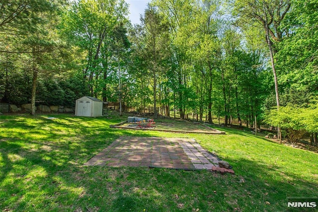 view of grassy yard with a storage shed, a patio area, and an outbuilding