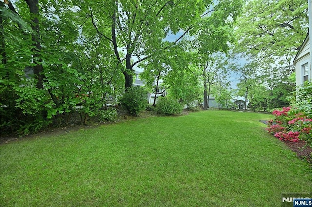view of grassy yard