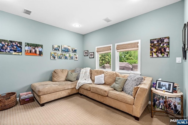 living area with carpet flooring