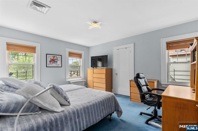 bedroom featuring carpet, multiple windows, and an office area