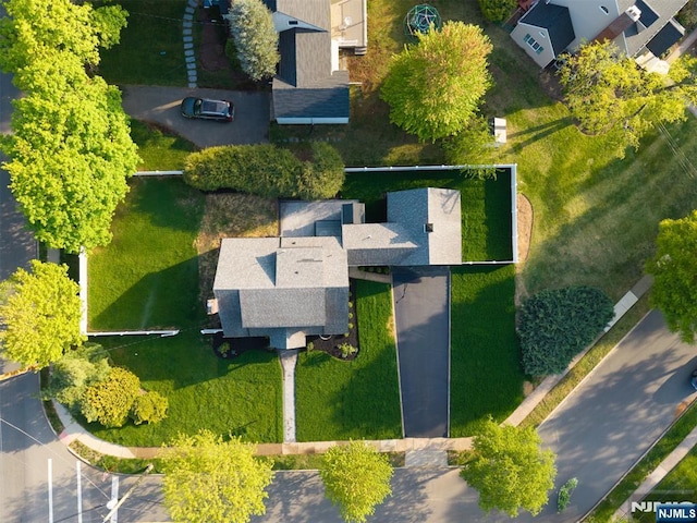 bird's eye view
