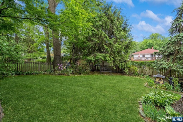 view of yard