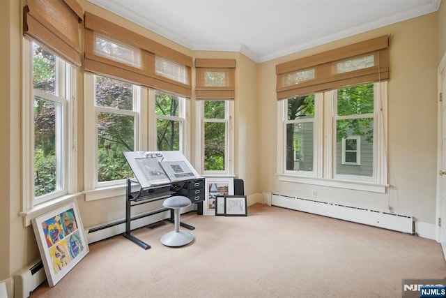 125 Bellevue Ave, Montclair, NJ 07043 - sunroom / solarium featuring a baseboard radiator, healthy amount of natural light, and baseboard heating