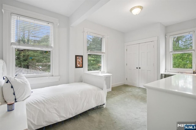 125 Bellevue Ave, Montclair, NJ 07043 - bedroom with multiple windows, light carpet, a closet, and baseboards