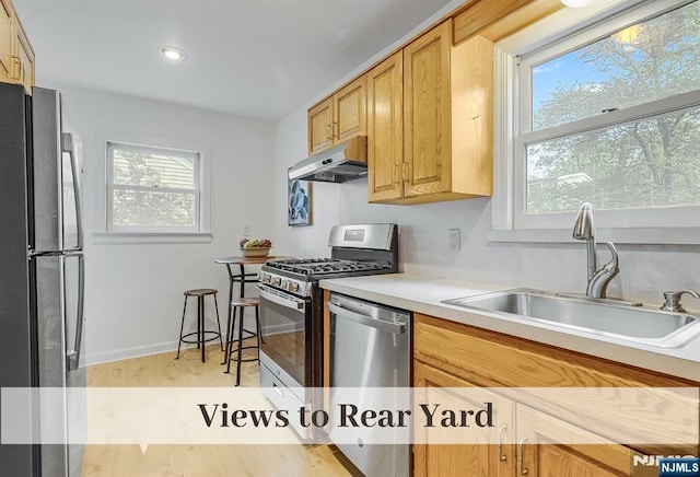 370 Chesterfield St, Ridgewood, NJ 07450 - kitchen featuring stainless steel appliances, under cabinet range hood, a sink, light wood-type flooring, and light countertops