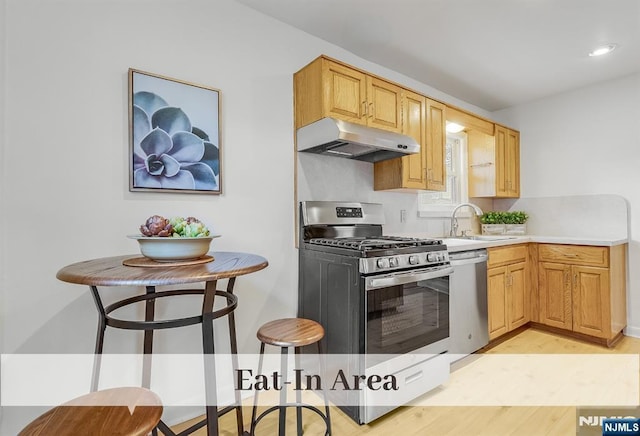 370 Chesterfield St, Ridgewood, NJ 07450 - kitchen featuring under cabinet range hood, a sink, stainless steel appliances, light wood-type flooring, and light countertops