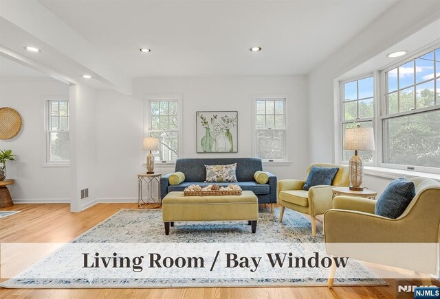 370 Chesterfield St, Ridgewood, NJ 07450 - living area featuring healthy amount of natural light, recessed lighting, wood finished floors, and baseboards