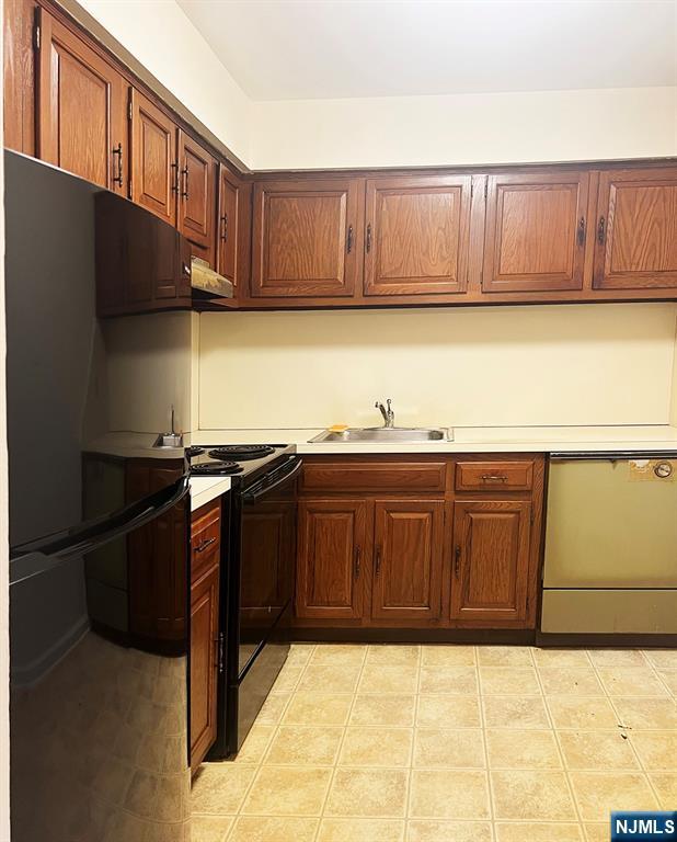 109 N Maple, Park Ridge, NJ 07656 - kitchen featuring a sink, black electric range, dishwasher, range hood, and light countertops