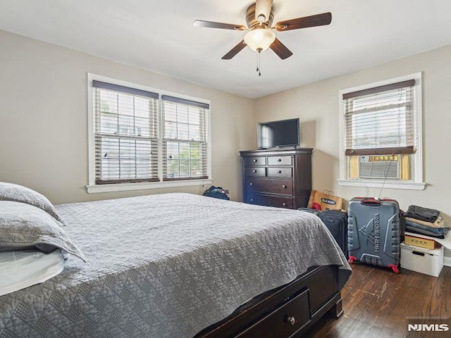bedroom featuring dark wood finished floors, multiple windows, and ceiling fan