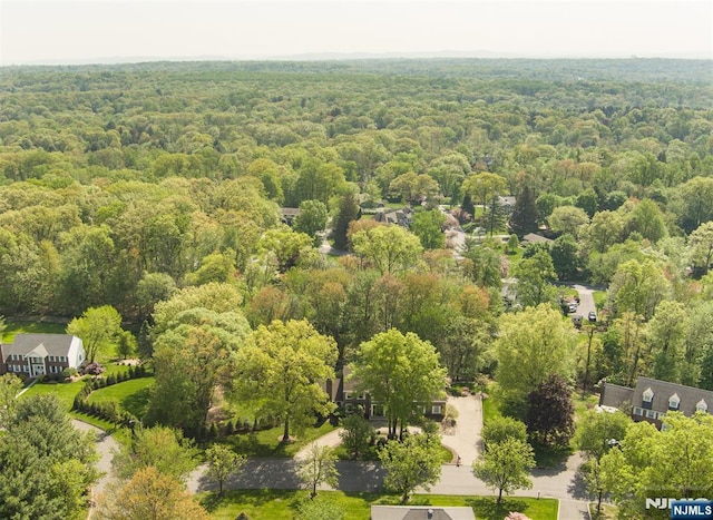 aerial view of a forest