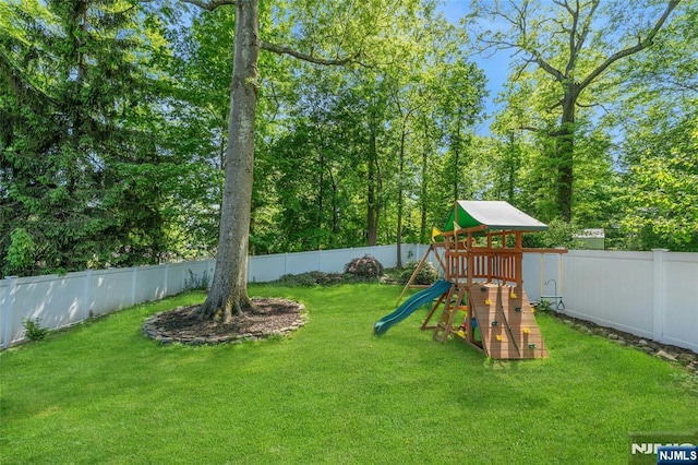 view of jungle gym